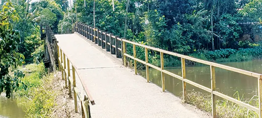 കുരട്ടിക്കാട് കോട്ടയ്ക്കൽ കടവ് ആംബുലൻസ് പാലം