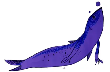 ചിത്രീകരണം: കെ പി മുരളീധരൻ