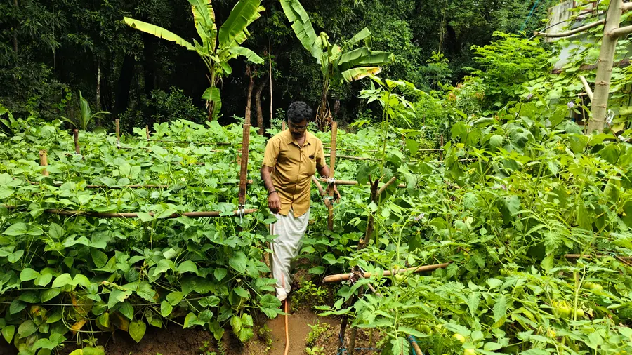 അഭിലാഷ് കൃഷിയിടത്തിൽ