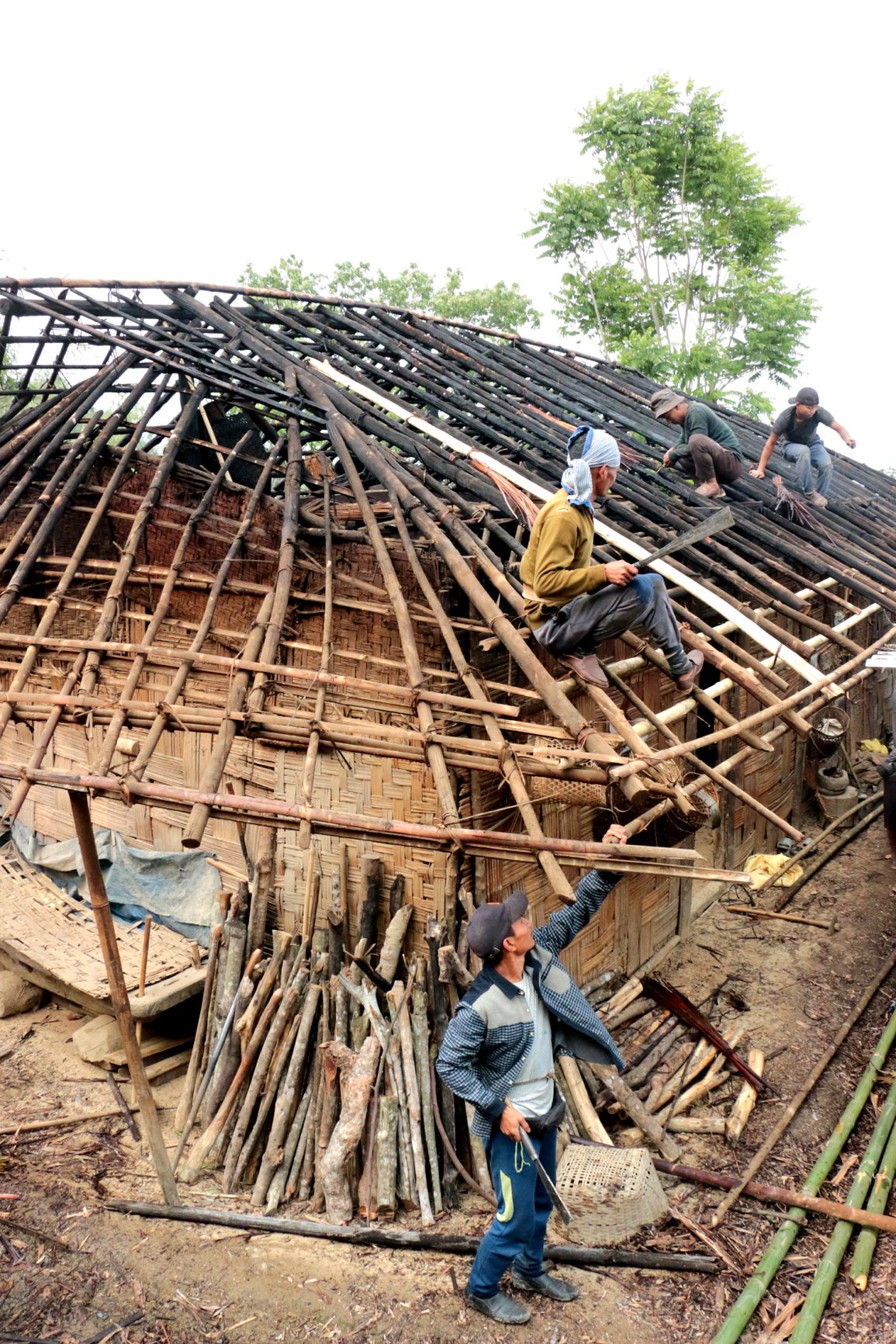 വീടുമേയുന്ന യുവാക്കൾ