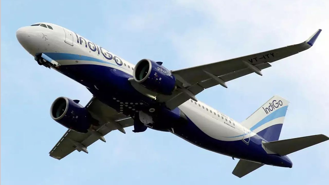 INDIGO