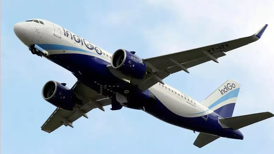 INDIGO