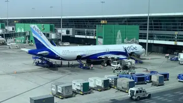 INDIGO