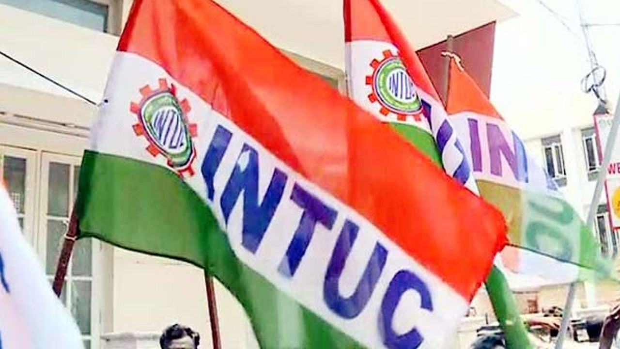 INTUc.jpg