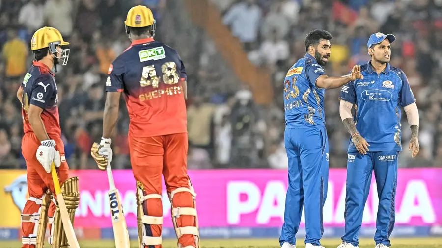 IPL.jpg