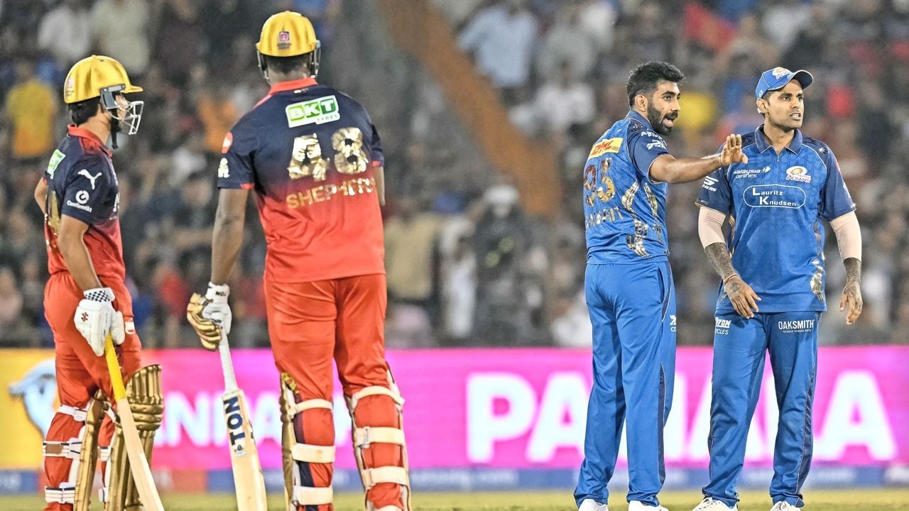 IPL.jpg