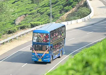 Royal View Double Decker Bus