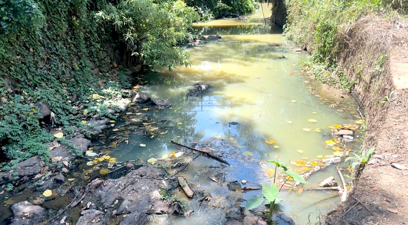 kattappanayaar