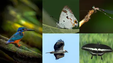 Idukki Wildlife Sanctuary