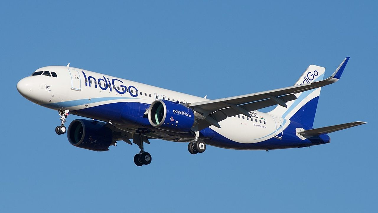 Indigo.jpg