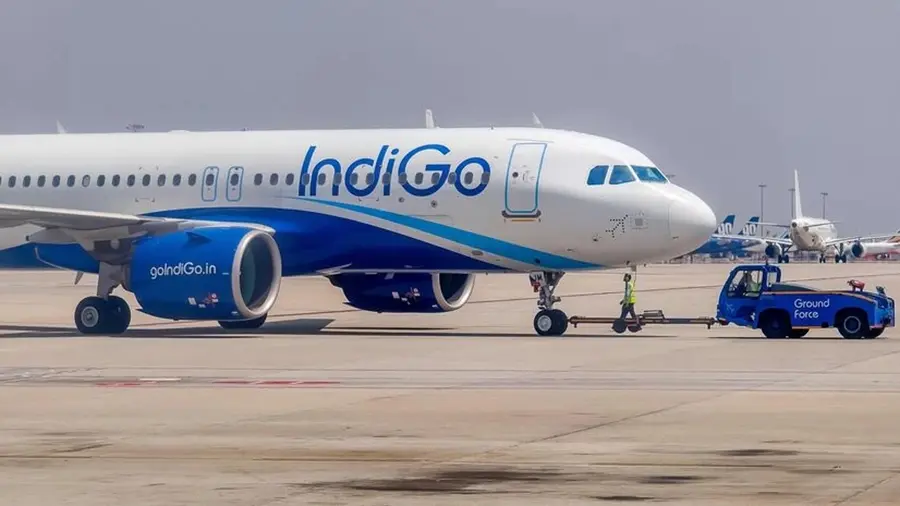Indigo.jpg