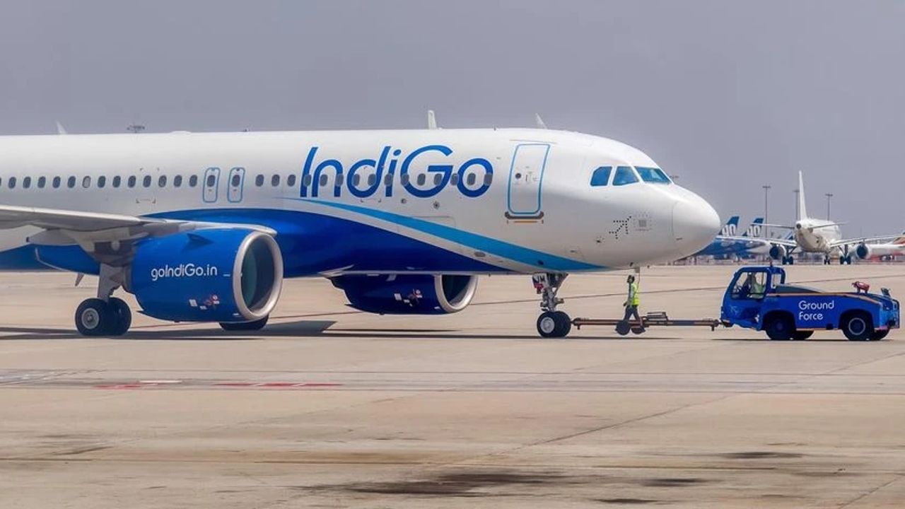 Indigo.jpg