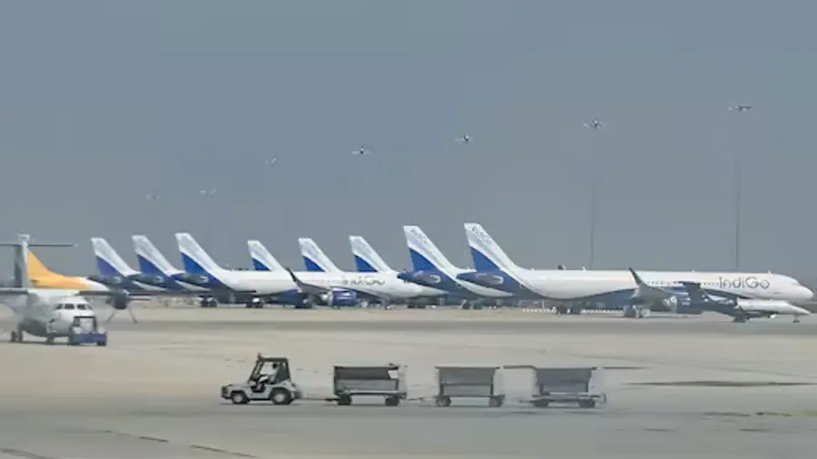 Indigo.jpg
