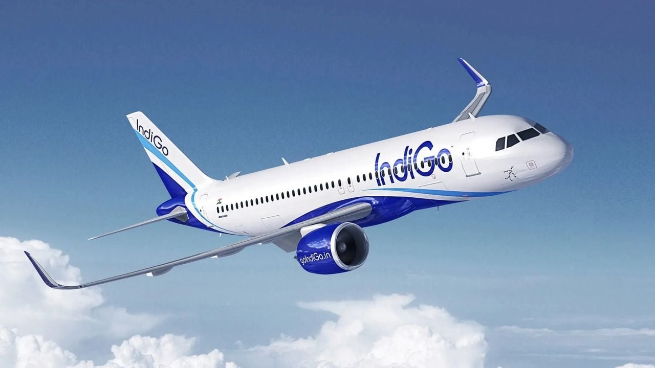 Indigo.jpg