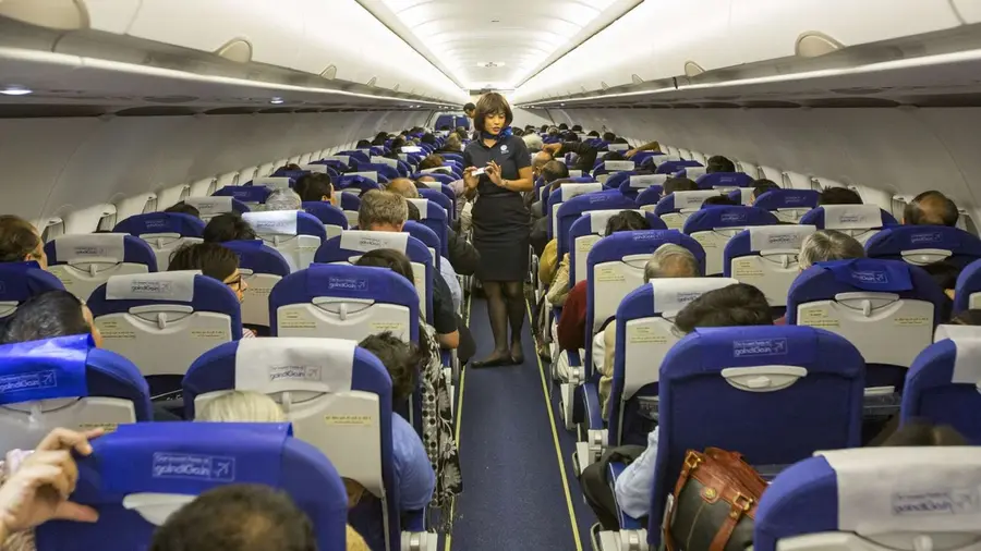 Indigo.jpg