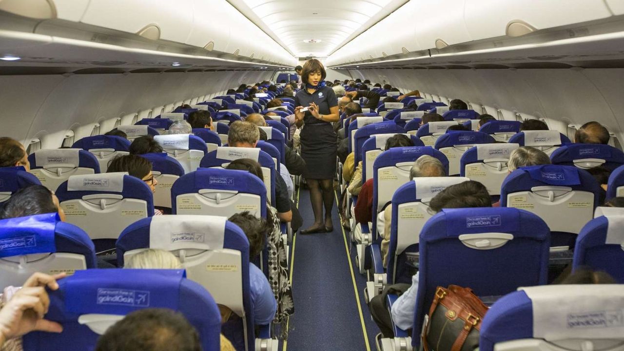 Indigo.jpg