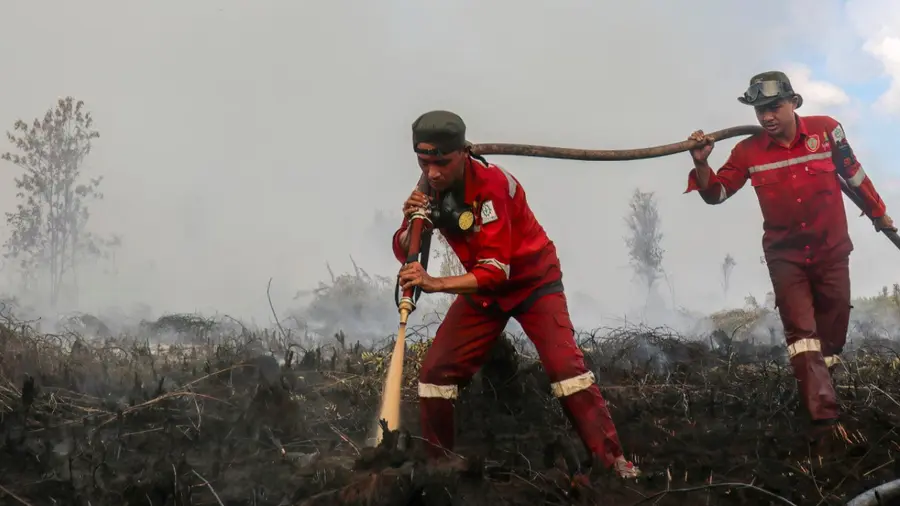 Indonesia Wildfire