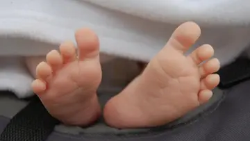 Infant.jpg