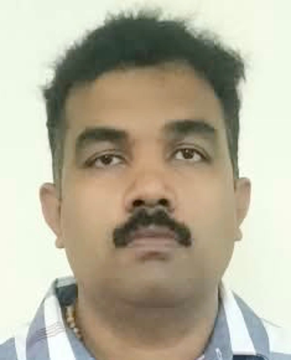 ജോസ് വിൽസൺ