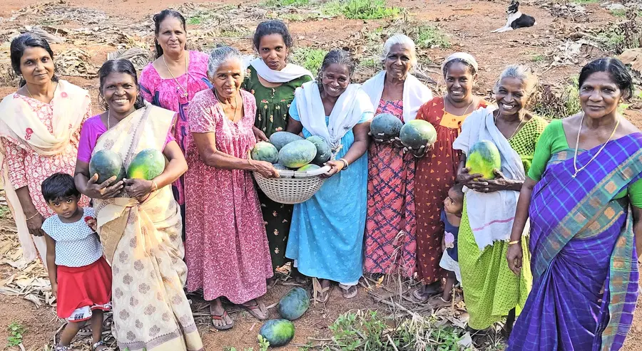 ‘ravileyum vaikittumaayi 300ladhikam chodukalilaayi moonnumanikkoorolam vellam thalikkanam.