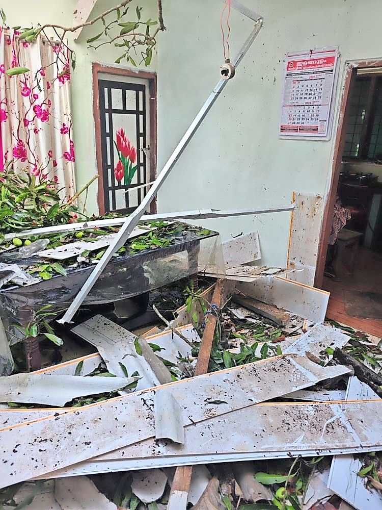 venalmazha jillayile vividha pradeshangalil naashamvithachu.