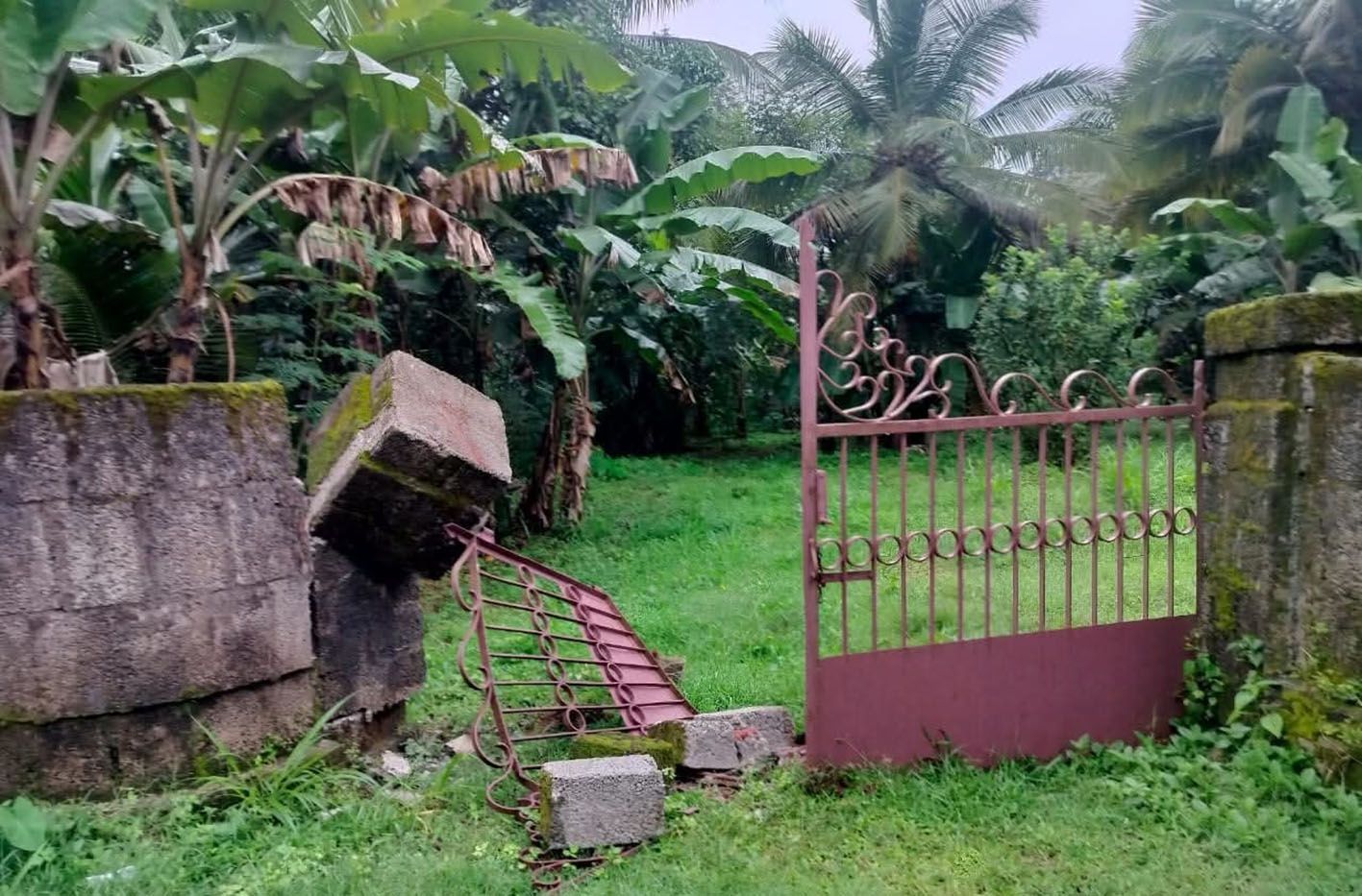 മുള്ളൂർക്കര ആറ്റൂരിൽ ഇറങ്ങിയ കാട്ടാന സ്വകാര്യ വ്യക്തിയുടെ മതിലും ഗേറ്റും തകർത്ത നിലയിൽ.