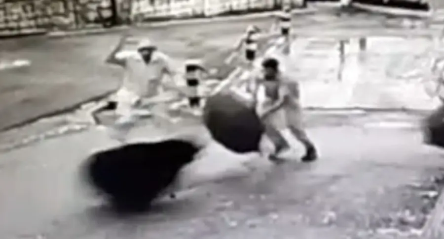 വാല്പ്പാറ താഴെപറളി ഇന്ഡസ്ട്രിയല് റോഡിന് സമീപം തേയിലത്തോട്ടത്തിലെത്തിയ കരടിയെ തൊഴിലാളി കുടകൊണ്ട് പ്രതിരോധിക്കുന്നു