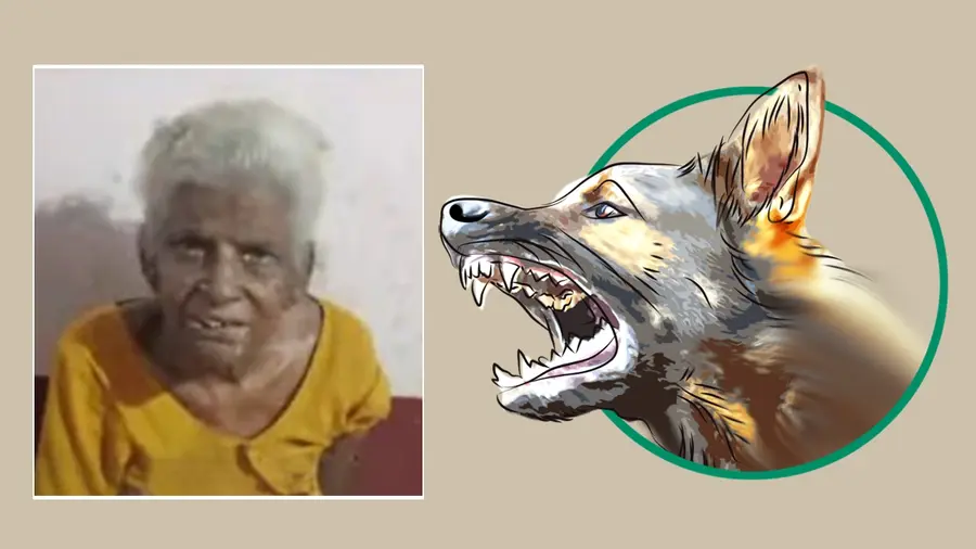 KARTHYANI ERUMAPPETTI STRAY DOG ATTACK