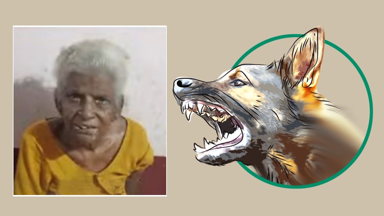 KARTHYANI ERUMAPPETTI STRAY DOG ATTACK