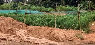Attempt to fill in agricultural land and a canal.
