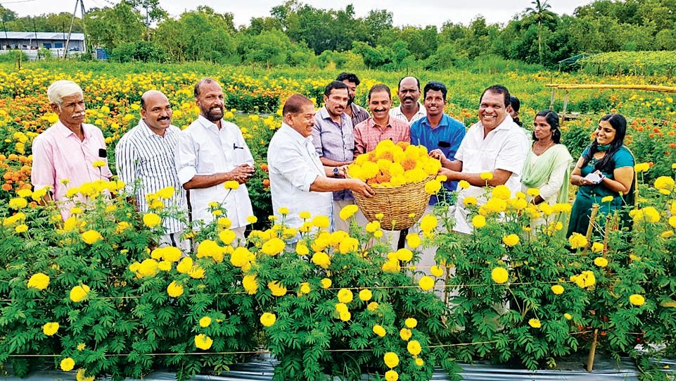 കഞ്ഞിക്കുഴിയിൽ കെ.കെ. കുമാരൻ പെയിൻ ആൻഡ് പാലിയേറ്റീവ് കെയർ സൊസൈറ്റിയുടെ ആദിമുഖ്യത്തിൽ പൊതുമേഖലാ സ്ഥാപനമായ സിൽക്കിൽ ആരംഭിച്ച മെഗാപൂവിപണിയുടെ ഉദ്ഘാടനം മുൻ ജില്ലാ പഞ്ചായത്തു പ്രസിഡന്റ് ആർ. നാസർ നിർവഹിക്കുന്നു