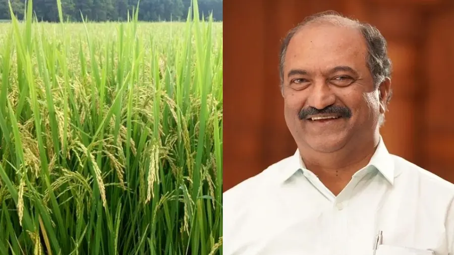 K N BALAGOPAL PADDY