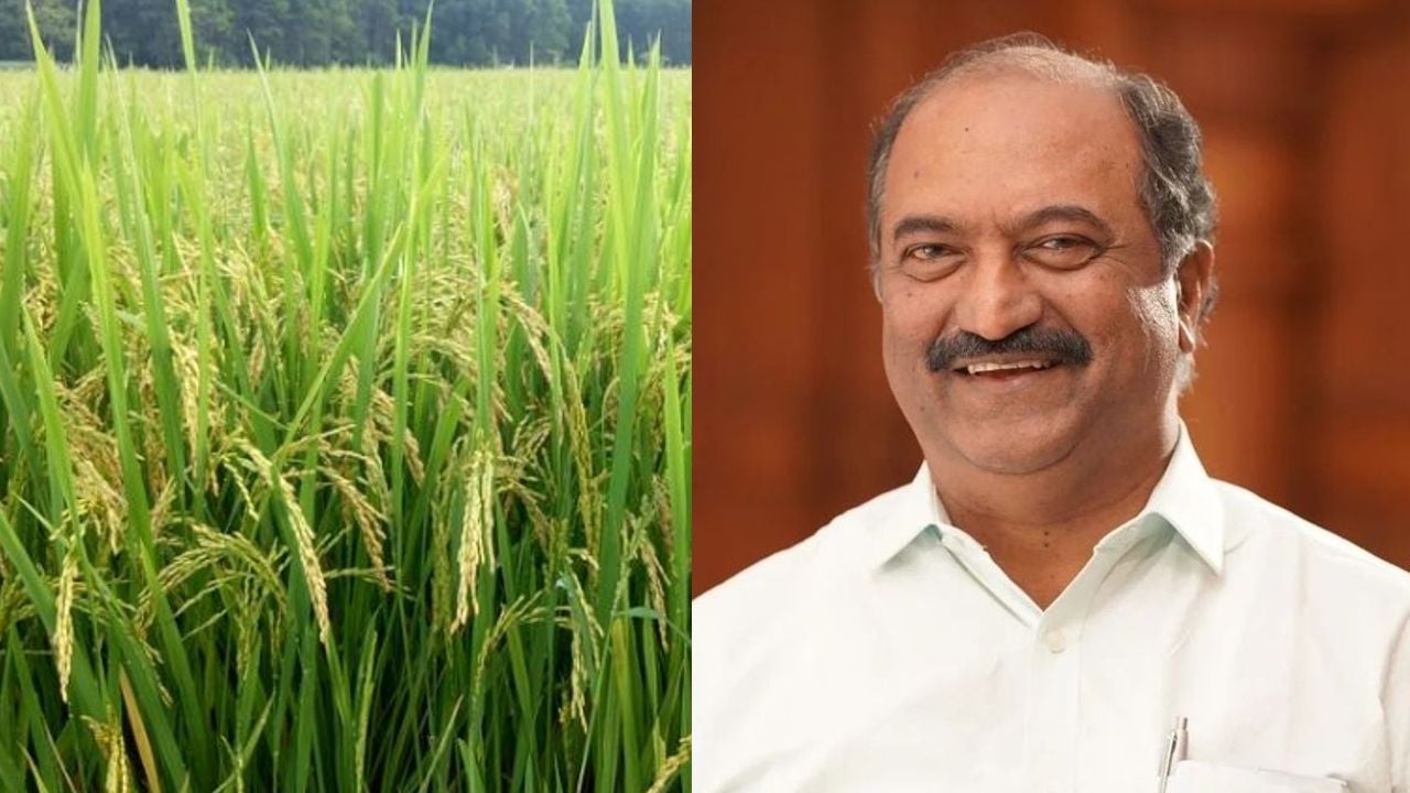 K N BALAGOPAL PADDY
