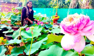 THAAMARA