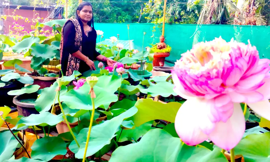 THAAMARA