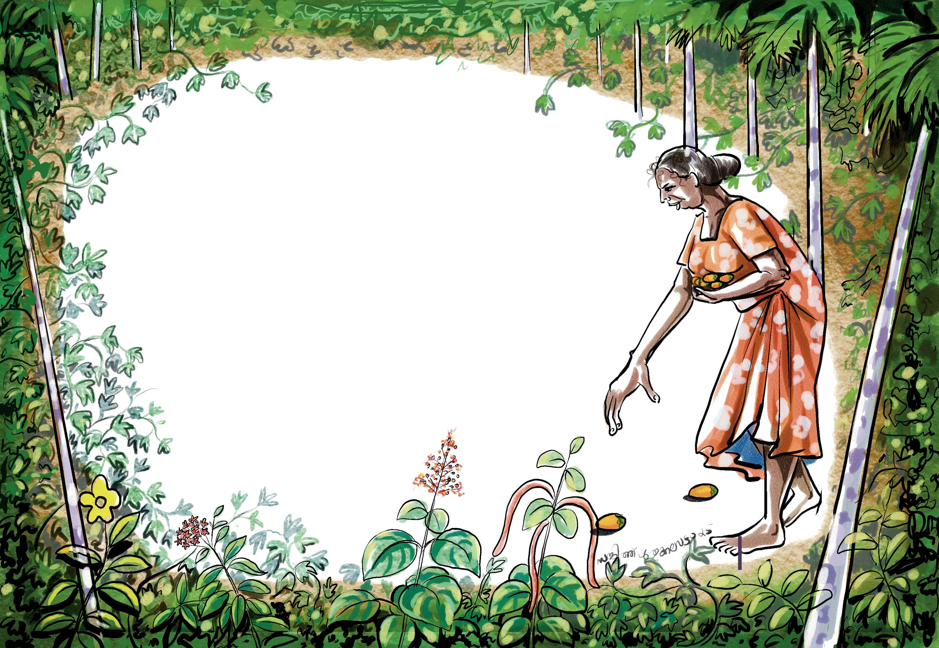 ചിത്രീകരണം: സജിത്‌ പുതുക്കലവട്ടം