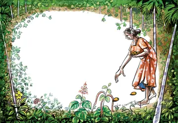 ചിത്രീകരണം: സജിത്ത്‌ പുതുക്കലവട്ടം