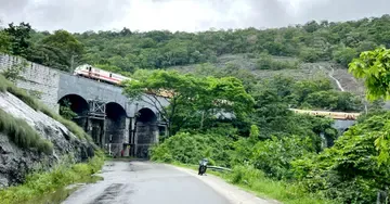 തെന്മല പതിമൂന്ന് കണ്ണറ പാലത്തിന്റെ ദൃശ്യഭംഗി മറച്ച് പാഴ്മരങ്ങൾ വളർന്ന നിലയിൽ