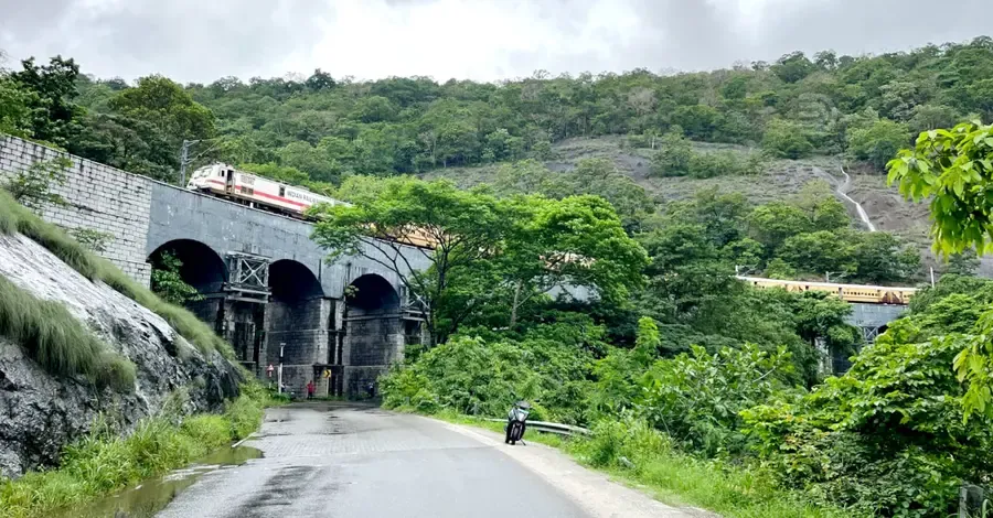 തെന്മല പതിമൂന്ന് കണ്ണറ പാലത്തിന്റെ ദൃശ്യഭംഗി മറച്ച് പാഴ്മരങ്ങൾ വളർന്ന നിലയിൽ