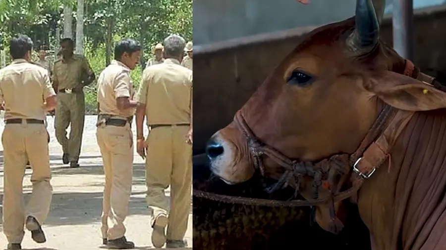 Karnataka Police Cow