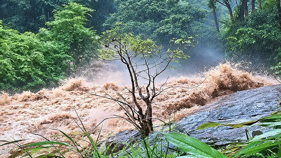 Kerala Rain