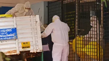 Kozhikkode Nipah