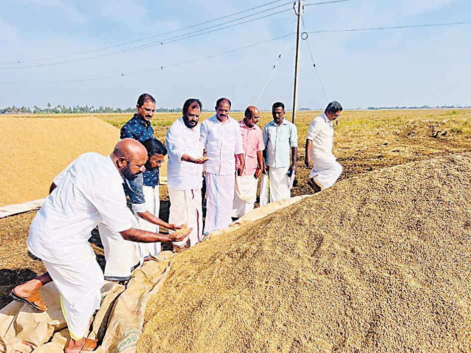 When the leaders of the farmers' association visited the paddy fields in Kuttanad