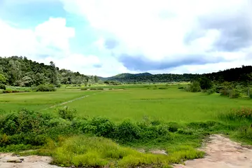 kuruvikkattupara
