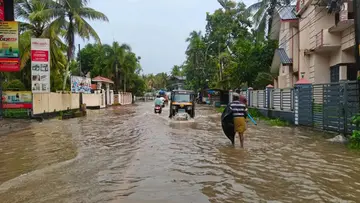 Kuttanad.jpg