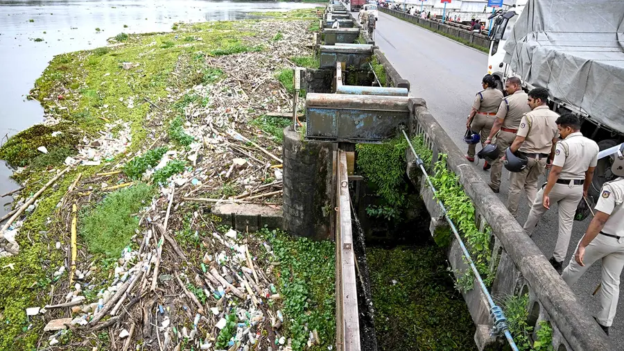 Kuttanad.jpg