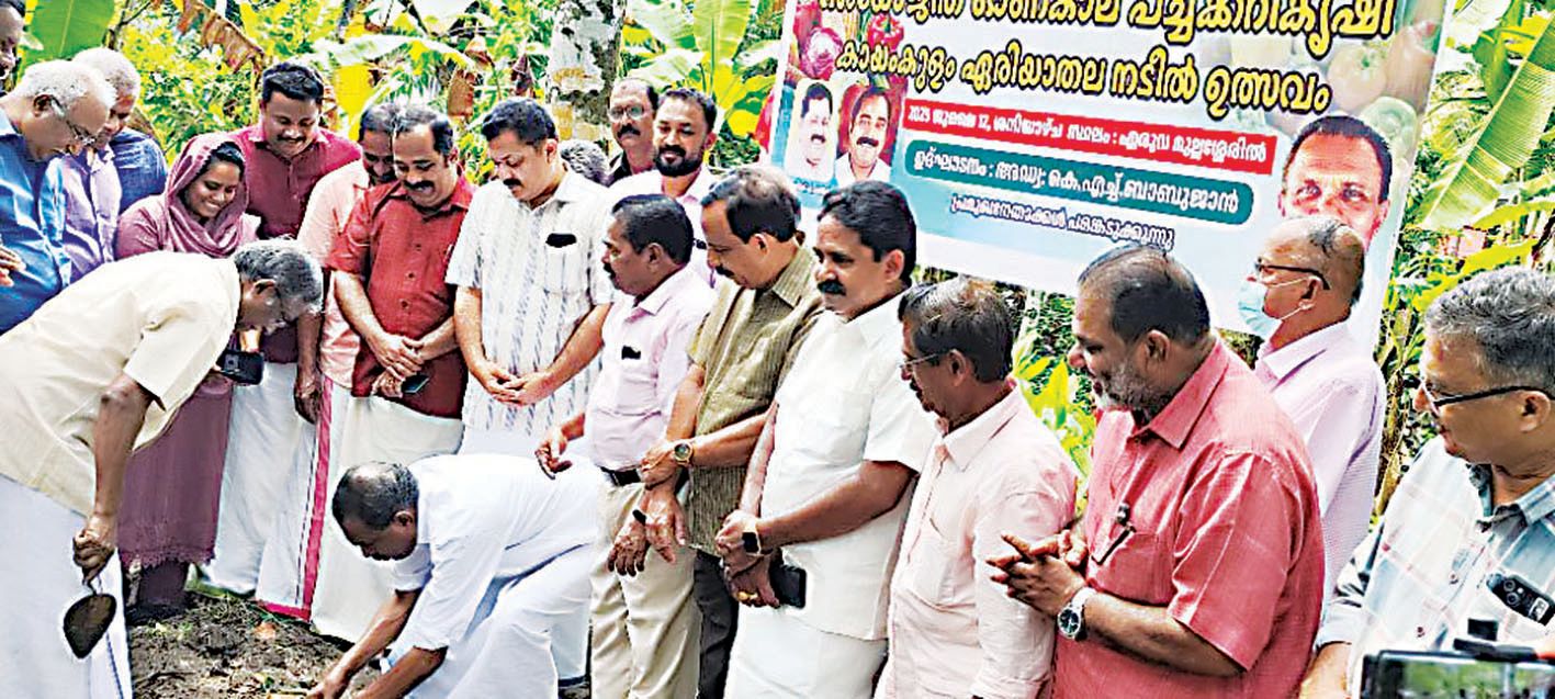 As part of the Integrated Agriculture Popular Campaign, the Onam non-toxic vegetable cultivation and planting festival is inaugurated by Karshaka Sangham State Committee Member KH Babujan.