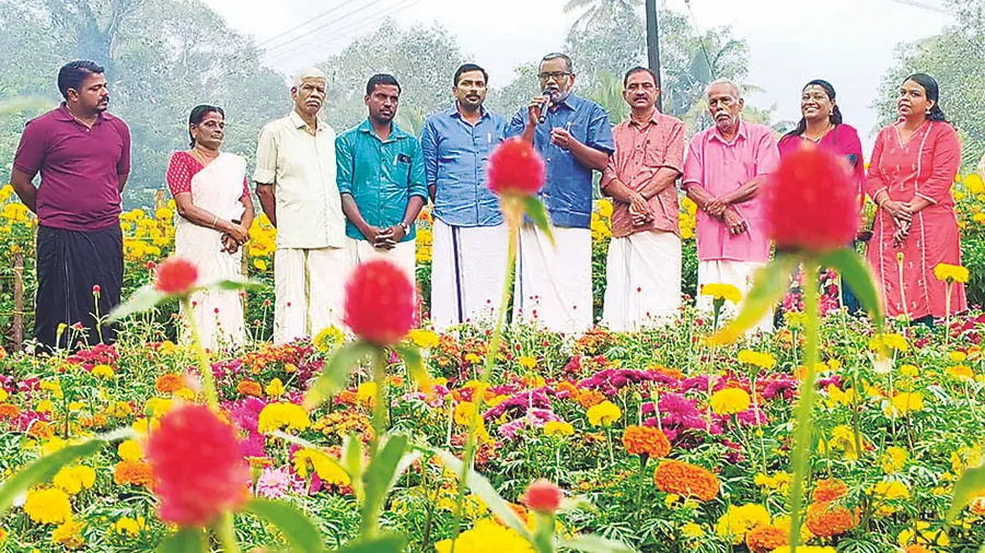 Minister P Prasad, S Radhakrishnan and Panchayat Vice President Adv. M Santosh Kumar were present at the Attapoonthottam prepared by variety farmer Sujith.