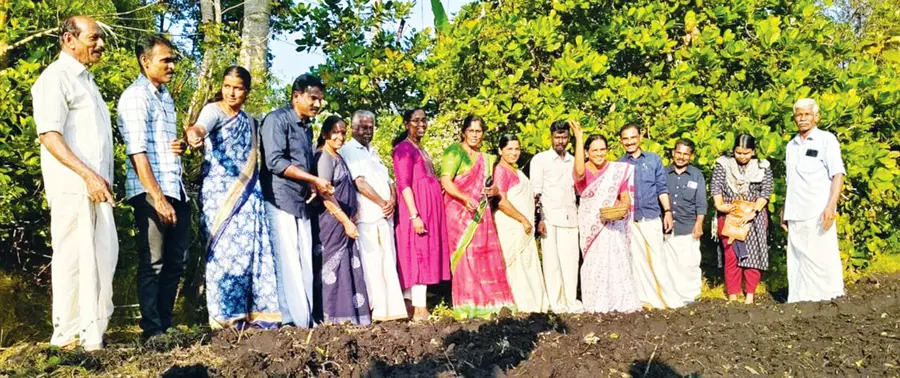 കഞ്ഞിക്കുഴി പഞ്ചായത്ത് ജനകീയാസൂത്രണ പദ്ധതിയിൽ കൃഷിഭവൻ മുഖേന നടപ്പാക്കുന്ന പാടശേഖരങ്ങളിലെ ചെറുപയർകൃഷി  കഞ്ഞിക്കുഴി ബ്ലോക്ക് പഞ്ചായത്ത്‌ പ്രസിഡന്റ്‌ സുധർമണി തമ്പാൻ ഉദ്ഘാടനംചെയ്യുന്നു