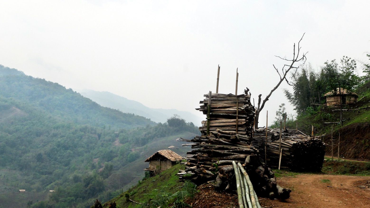 ഷെൻഗാ ചിങ്‌ യൂ